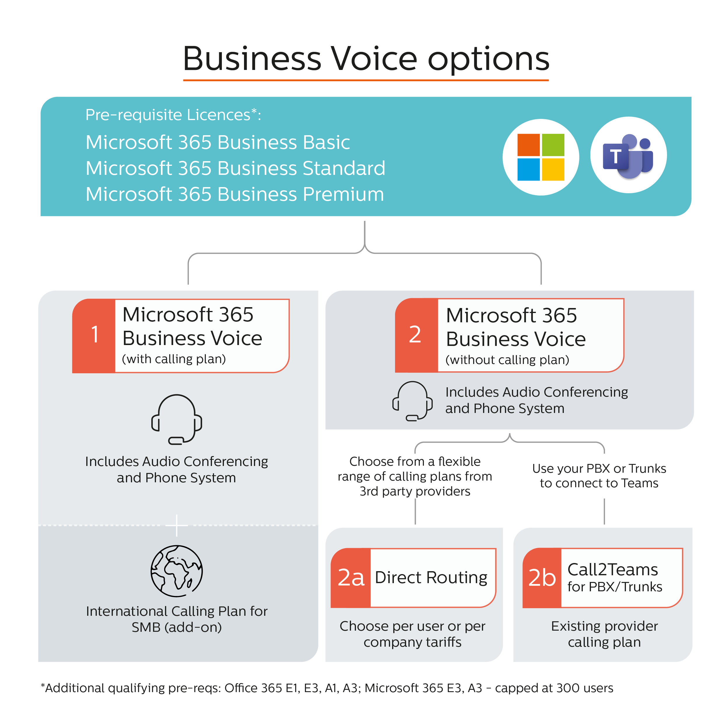 Business Voice Options